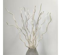 KKTHDM Branche de saule bouclée naturelle séchée, 15 tiges de bâtons décoratifs blancs de 55,9 cm, petites gourdes véritables 3 pièces pour la décoration de la maison (blanc)
