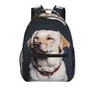 kkvhhyuo Karate-highkick-icon Sac à dos décontracté imprimé, sac à dos léger pour ordinateur portable pour voyage, université, trajets en w nd, aventures., Adorable chien labrador., One Size