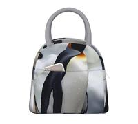 kkvhhyuo Sac à déjeuner isotherme avec imprimé pingouin, sac isotherme réutilisable avec poignée gris clair pour pique-nique, école, bureau
