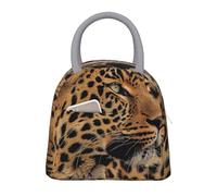 kkvhhyuo Sac à déjeuner isotherme réutilisable avec poignée gris clair pour pique-nique, école, bureau