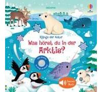 Klänge Der Natur: Was Hörst Du In Der Arktis?
