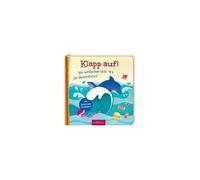 Klapp Auf! Wo Verstecken Sich Die Meerestiere?