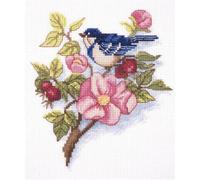 Klart Kit de Point de Croix, Coton, Multicolore, 16x17cm