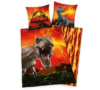 Klaus Herding GmbH Jurassic World Parure de lit avec Fermeture éclair légère renforcée, 100% Coton, Rouge, Kopfkissen ca. 80x80 cm, Bettbezug ca. 135x200 cm