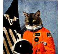 Klaxons – Surfing The Void – Import
