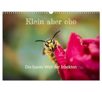 Klein aber oho. Die bunte Welt der Insekten (Wandkalender 2026 DIN A3 quer), CALVENDO Monatskalender: Die farbenfrohe Welt der Insekten