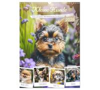 Kleine Hunde. Süß und niedlich. Die beliebtesten Hunderassen (Wandkalender 2026 DIN A3 hoch), CALVENDO Monatskalender: Die hübschesten Hündchen zum verlieben!