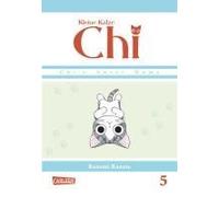 Kleine Katze Chi 05