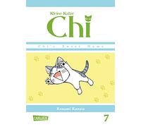 Kleine Katze Chi 07