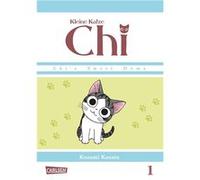 Kleine Katze Chi 01