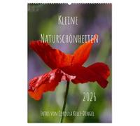 Kleine Naturschönheiten (Wandkalender 2026 DIN A2 hoch), CALVENDO Monatskalender: Die Schönheit von Blumen, Insekten oder Vögeln in unserer ... Naturmotive im Wandel der Jahreszeiten