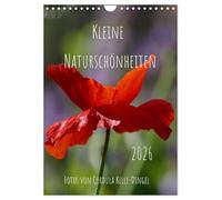 Kleine Naturschönheiten (Wandkalender 2026 DIN A4 hoch), CALVENDO Monatskalender: Die Schönheit von Blumen, Insekten oder Vögeln in unserer ... Naturmotive im Wandel der Jahreszeiten