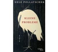 Kleine Probleme | Nele Pollatschek Nele Pollatschek (Auteur)