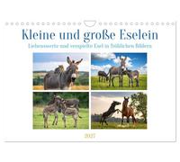 Kleine und große Eselein (Wandkalender 2027 DIN A4 quer), CALVENDO Monatskalender: Weiche Ohren, sanfte Seelen, lustige Stimmung - so sind Esel