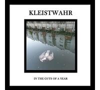 Kleistwahr - in The Guts of a Year [Import]