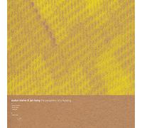 Audun Kleive The Periphery of a Building (Vinyl)