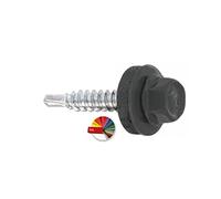 KLIMAS Lot de 250 vis de perçage avec rondelle EPDM 4,8 х 19 mm RAL 7024 (gris graphite) - galv. Galvanisées WSB pour fixation de tôle avec chevauchement