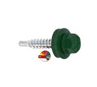 PRITEX Lot de 250 vis autoperceuses avec rondelle EPDM 4,8 x 19 mm RAL 6005 (vert mousse) zingué pour tôle trapézoïdale