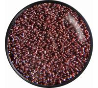 Klingspor Bande abrasive LS307X - 100 x 1000 mm - Grain P40 - Lot de 10 - Pour bois et métal - Support en tissu semi-flexible indéchirable - Bandes abrasives professionnelles pour ponceuse à bande