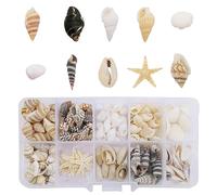 KLINNA 200 pièces de coquillages, coquillages pour le bricolage, coquillages décoratifs mélangés et non percés | Idéal comme remplissage de vase, pour aquarium, art artisanal DIY, bougie, bracelet