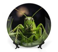 KLJHNVBM Grasshopper - Assiette décorative en porcelaine anglaise de 15,2 cm avec présentoir - Assiettes en porcelaine à suspendre au mur pour la maison et le bureau
