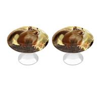 KLJHNVBM Lot de 2 poignées d'armoire de cuisine drôles en acier inoxydable avec vis - Motif écureuil - 2,8 cm