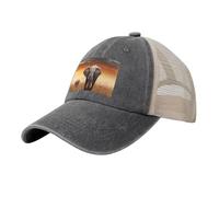KLLTYHMU Casquette de baseball de cowboy avec dos en maille, chapeau de camionneur réglable, chapeau de papa mignon d'éléphant sauvage, casquette de plage pour homme et femme, Bruyère profonde, One
