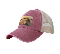 KLLTYHMU Casquette de baseball de cowboy avec dos en maille, réglable, dunes de sable, casquette de plage pour homme et femme, Rouge, XL (taille unique)