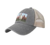 KLLTYHMU Casquette de baseball de cowboy avec dos en maille, réglable, pour papa, alpagas, plage pour homme et femme, gris, taille unique/XL