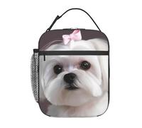 KLLTYHMU Joli sac à déjeuner isotherme avec poignée amovible, étanche, réutilisable, pour femme, homme, travail, pique-nique, voyage, camping