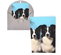 KLLTYHMU Lot de 1 carte de remerciement avec enveloppes, Border Collie 10,2 x 15,2 cm pour notes personnalisées, cartes formelles pour toutes les occasions, adaptées pour les petites entreprises, les