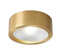 Klobvtt Downlight en Laiton LED Montage en Surface Spot Cylindre Plafond Downlights Rond Couloir vers Le Bas Luminaire Cuivre Projecteurs Directionnels pour Salon Couloir Entrée