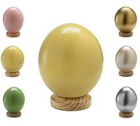 Klocke Dekorationsbedarf Œuf d'autruche sud-africain coloré - Qualité supérieure - 1 pièce (sans support) - Vide, soufflé et nettoyé (jaune)