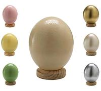 Klocke Dekorationsbedarf Œuf d'autruche sud-africain naturel, de qualité supérieure, 1 pièce (sans pied), vide, soufflé, purifié, naturel (blanc ivoire)