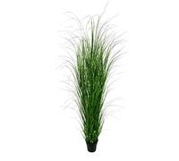 Klocke Kunstpflanzen Herbe décorative en pot - artificielle & réaliste - Hauteur : 180 cm - Herbe / buisson d'herbe