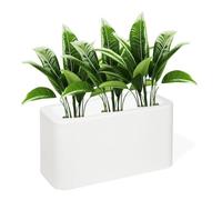 Kloris 8034135344571 Porte-gobelet rectangulaire clôture séparé haie Blog 35 Blanc polyéthylène 70 x 30 cm Hauteur 35 cm Profondeur Compartiment 14 cm