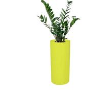 Kloris Barocco 70 Pot de Fleurs cylindrique Vert Kiwi polyéthylène diamètre 35 cm Hauteur 70 cm Profondeur Compartiment 26 cm. Fabriqué en Italie