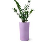 Kloris Barocco Pot de Fleurs cylindrique 70 Lilas glycines polyéthylène diamètre 35 cm Hauteur 70 cm Profondeur Compartiment 26 cm. Fabriqué en Italie
