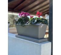 Kloris Jardinière pour Balcon pour Plantes extérieures Boîte rectangulaire 51 x 22 x 23 cm avec Soucoupe Gris Tourterelle Made in Italy. Haute qualité.