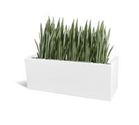Kloris Jardinière rectangulaire Moderne Mod. OASI 80 x 30 cm h 30 cm, Blanc polyéthylène Haute qualité, fabriqué en Italie