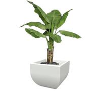 Kloris Vase Moderne carré méditerranéen Lisse 50 x 50 cm Hauteur 42 cm. Couleur Blanche. Fabriqué en Italie