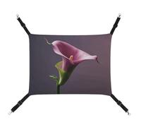 KLSVTMEA Hamac cage pour animal de compagnie, lit à suspendre violet pour animal de compagnie, balançoire pour chats, chiens ou autres petits animaux de compagnie et est le meilleur choix pour les