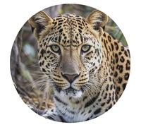 KLWQR Coussin de siège rond en mousse à mémoire de forme réversible et lavable avec fermeture éclair pour bureau, cuisine, salle à manger, 39 cm