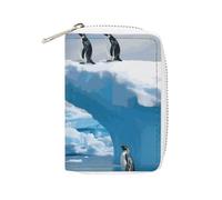 KLWQR Portefeuille RFID pour cartes de crédit pour femme, joli petit porte-cartes, porte-cartes, pingouins sur l'iceberg, étui de rangement avec fermeture éclair, style, 16 x 11,5 cm, Style :,
