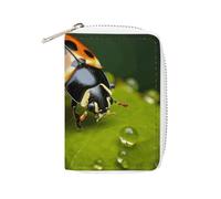 KLWQR Portefeuille RFID pour cartes de crédit pour femme mignon petit portefeuille en cuir noir coccinelle organisateur de cartes avec fermeture éclair, style, 16 x 11,5 cm, Style :, 16x11.5cm