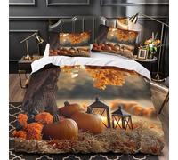 KLZXCVBNMQW Autumn Decor Ensemble De Literie Microfibre 3D Effet 3 Pièces 2xTaies Super Douce Fall Harvest Parure de Lit Respirante Résistante for Enfants Garçons Ado Double（200x200cm）