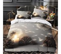 KLZXCVBNMQW Dandelion Seeds Parure de Lit Microfibre Résistante 3D Imprimé 3 Pièces 2 Taies Ultra Douce Autumn Still Life Housse de Couette Super Douce Léger for Hommes Double（200x200cm）