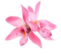 KMGDM Élégante pince à cheveux colorée double fleur épingle à cheveux décoration enfants accessoires de cheveux pour femmes et filles