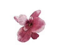 KMGDM Pince à cheveux élégante en forme de fleur pour femme - Accessoire de cheveux à motif floral pour mariages et fêtes