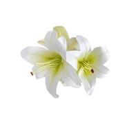 KMGDM Pince à cheveux élégante en forme de fleur pour femmes et filles - Accessoire de coiffure pour fête de mariage